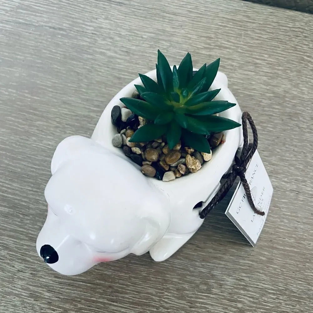 N/A nwt adorable